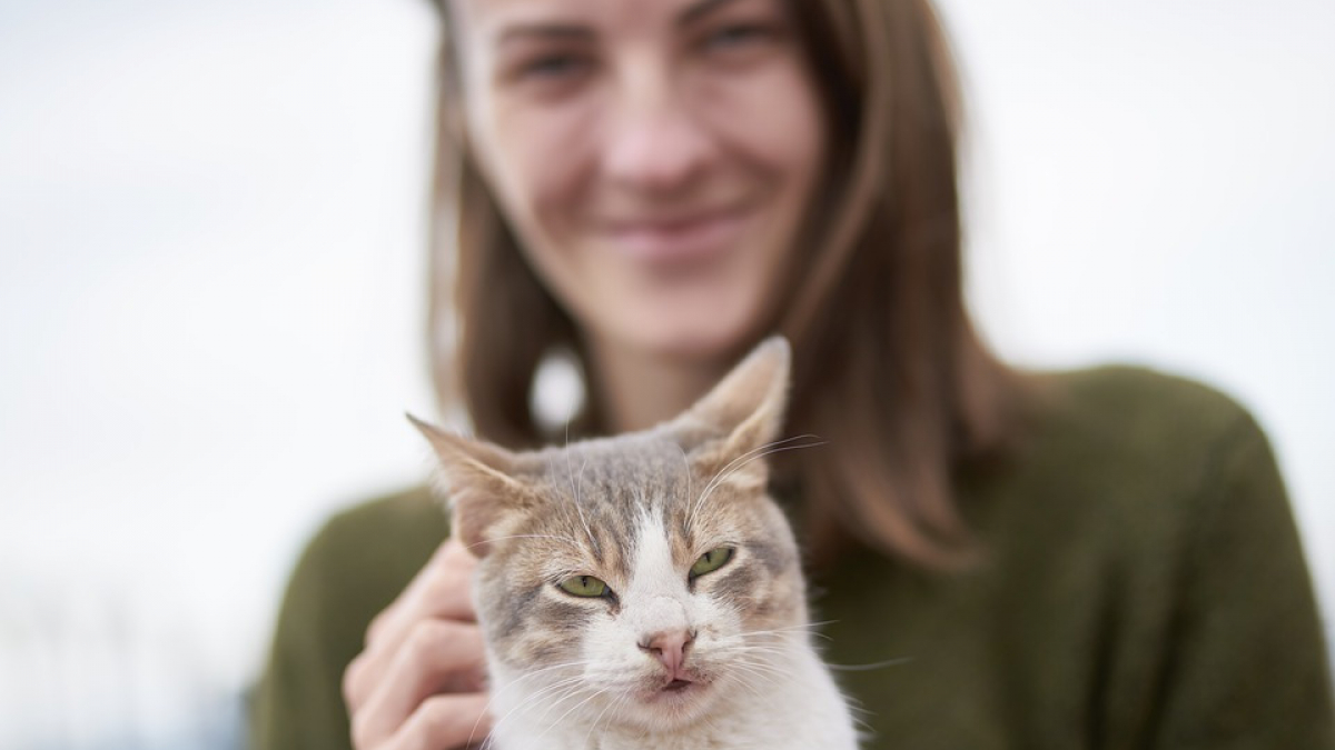 Illustration : "Les propriétaires de chats sont-ils plus intelligents que ceux des chiens ?"