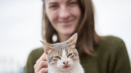 Illustration : Les propriétaires de chats sont-ils plus intelligents que ceux des chiens ?