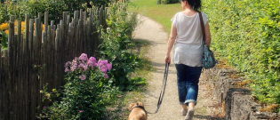 Illustration : "Il reproche à une femme l’éducation de son chien et agresse un individu en pleine rue"