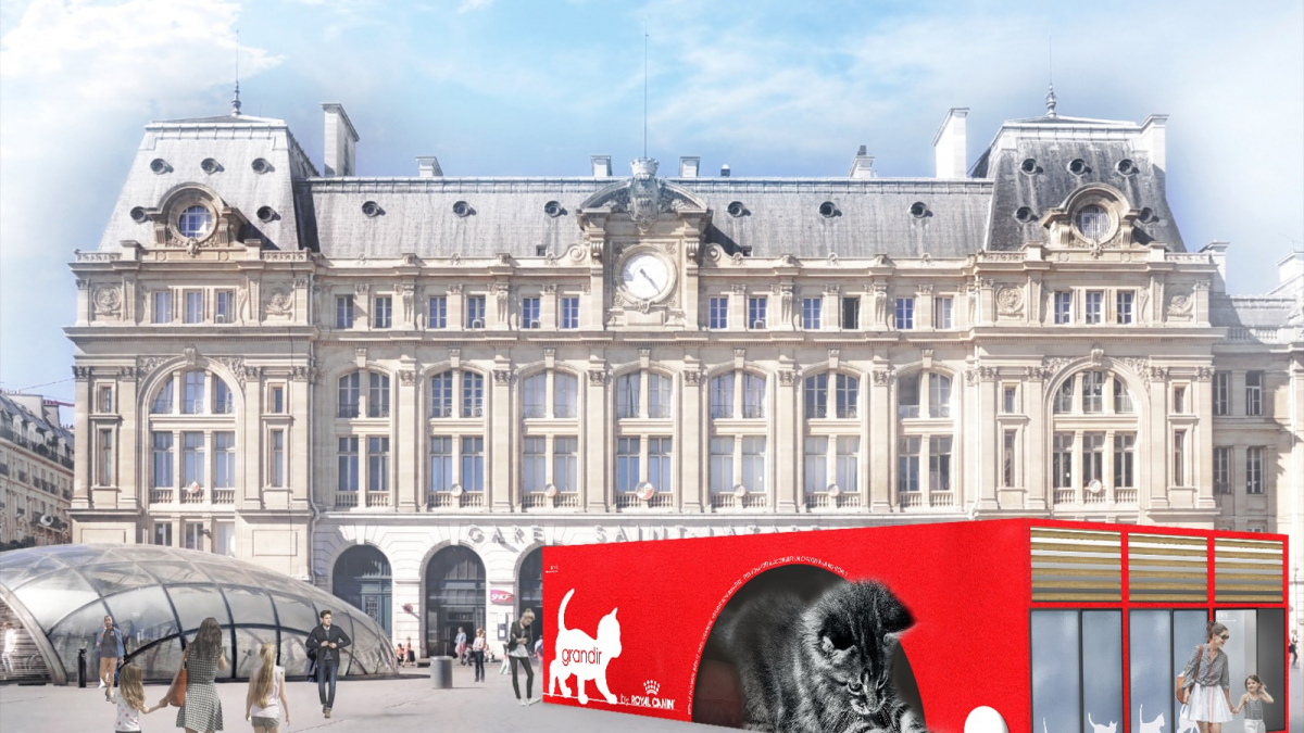 Illustration : "Grandir by Royal Canin : le rendez-vous incontournable pour tout savoir sur le chaton du 12 au 15 juin à la gare Saint Lazare à Paris"
