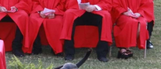 Illustration : "Une remise de diplôme vire à l'éclat de rire général après l'arrivée théâtrale d'un chien"