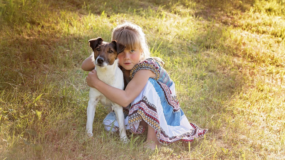 Illustration : "6 façons de renforcer la complicité entre chien et enfant pendant les vacances d’été"
