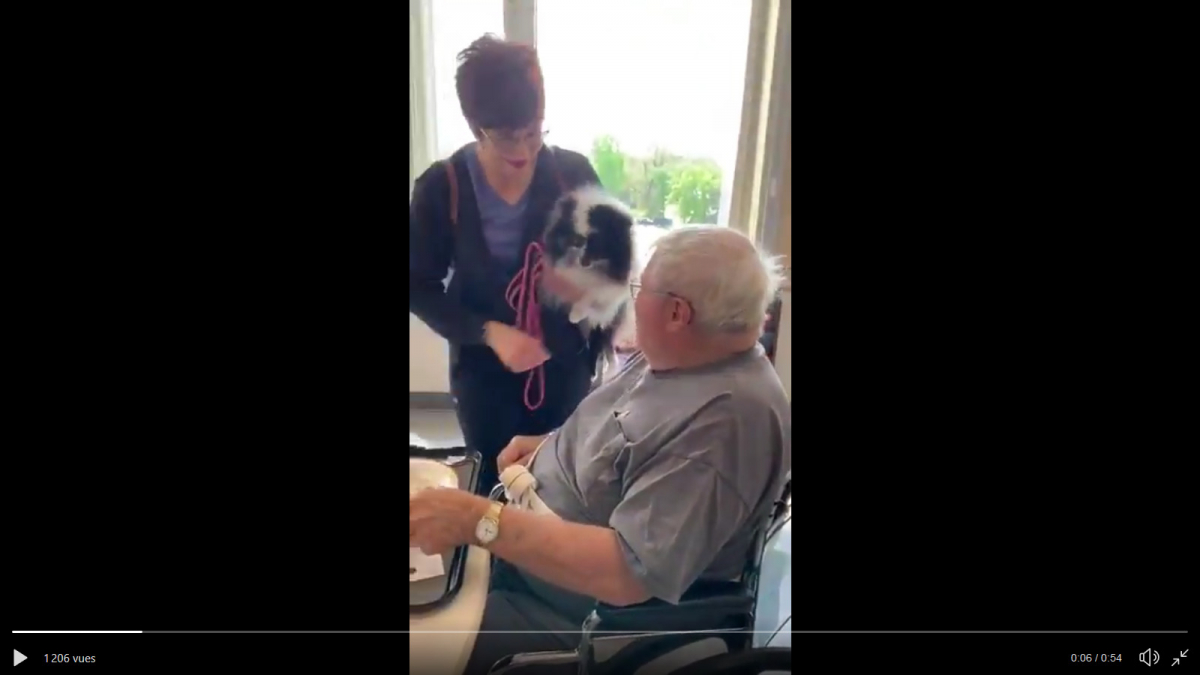 Illustration : "(Vidéo) Victime d'un AVC la meilleure surprise pour cet homme est de revoir sa chienne"