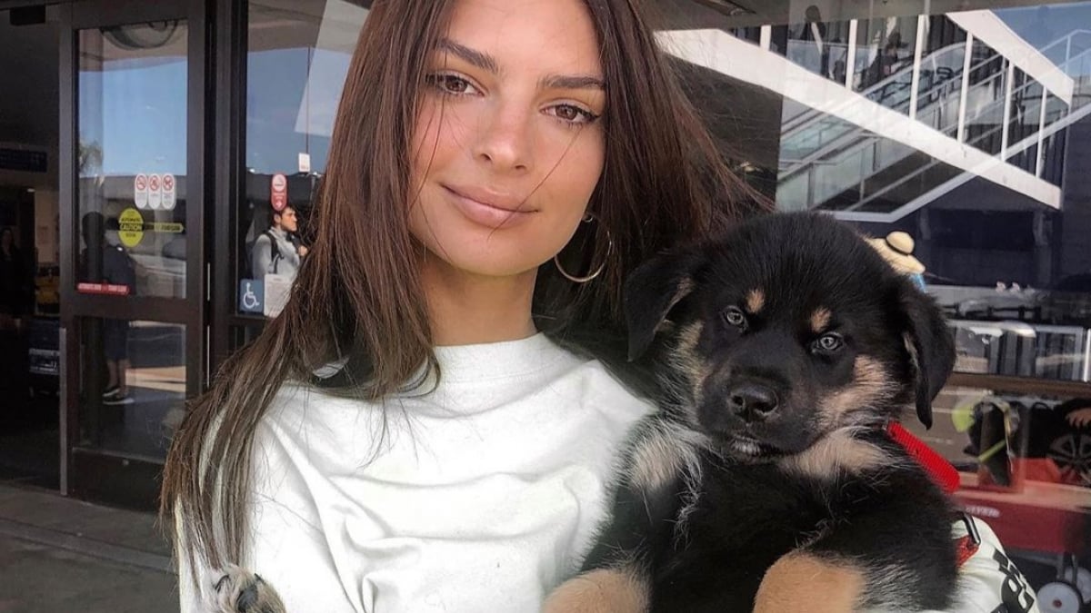 Illustration : "La magnifique photo d’Emily Ratajkowski avec son chiot pour leur premier shooting"