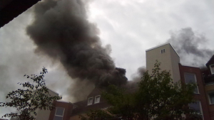 Illustration : Les pompiers interviennent et sauvent un chien d’un appartement en flammes ! 