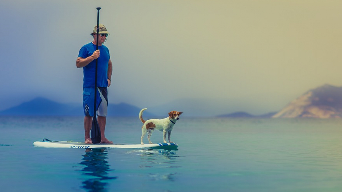 Illustration : "Il envisage de traverser la France en paddle avec sa chienne"