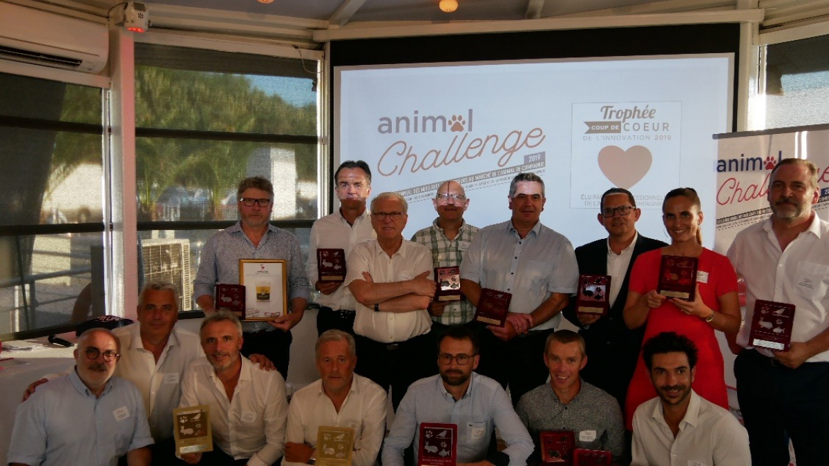 Illustration : "Découvrez les lauréats des Trophées Animal Challenge 2019"