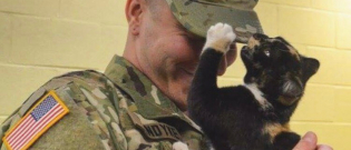 Illustration : "Un soldat se rend dans un abri après une tempête pour sauver un chaton"