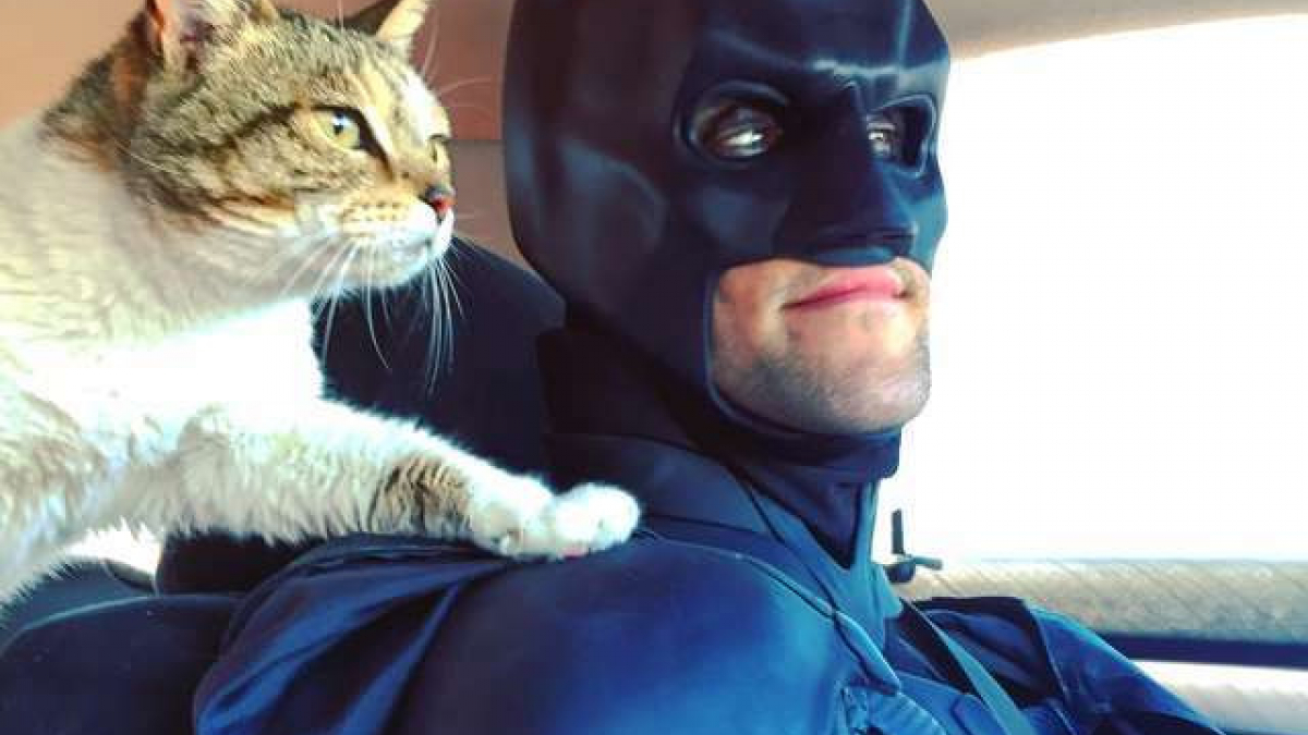 Illustration : "Déguisé en Batman, il sauve de l'euthanasie les chiens et chats des refuges"