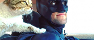 Illustration : "Déguisé en Batman, il sauve de l'euthanasie les chiens et chats des refuges"