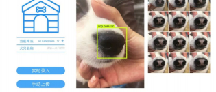 Illustration : "En Chine, la reconnaissance faciale bientôt appliquée aux chiens pour identifier les mauvais propriétaires ?"