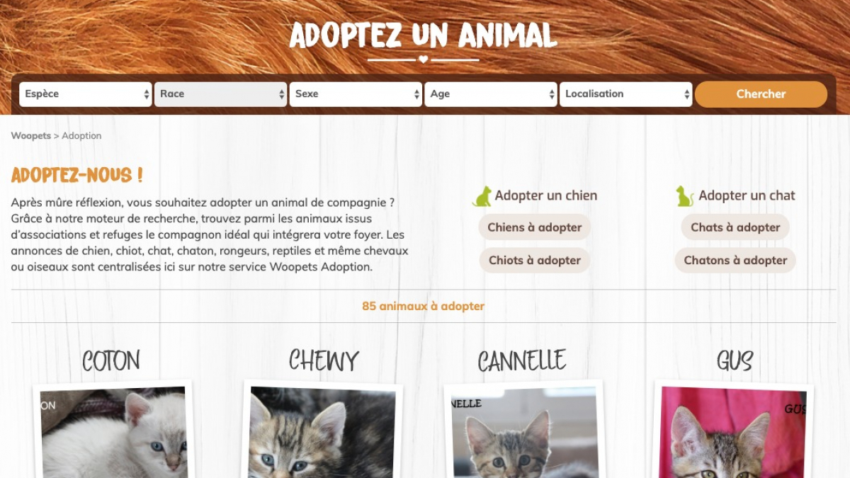 Illustration : "Woopets vient en aide aux animaux des associations et refuges en lançant son service  « Adoption »"