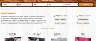 Illustration : "Woopets vient en aide aux animaux des associations et refuges en lançant son service « Adoption »"