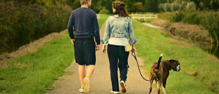 Illustration : "Woog, une application pour des promenades canines plus fun"
