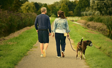 Illustration : "Woog, une application pour des promenades canines plus fun"