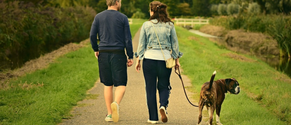Illustration : "Woog, une application pour des promenades canines plus fun"