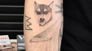 Illustration : Sophie Turner et Joe Jonas, endeuillés par la mort de leur chien, portent un tatouage à son effigie