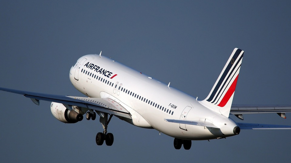 Illustration : "Air France interdit le fret à certains chats"