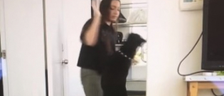 Illustration : "Une Youtubeuse publie par erreur une vidéo dans laquelle elle maltraite son chien !"