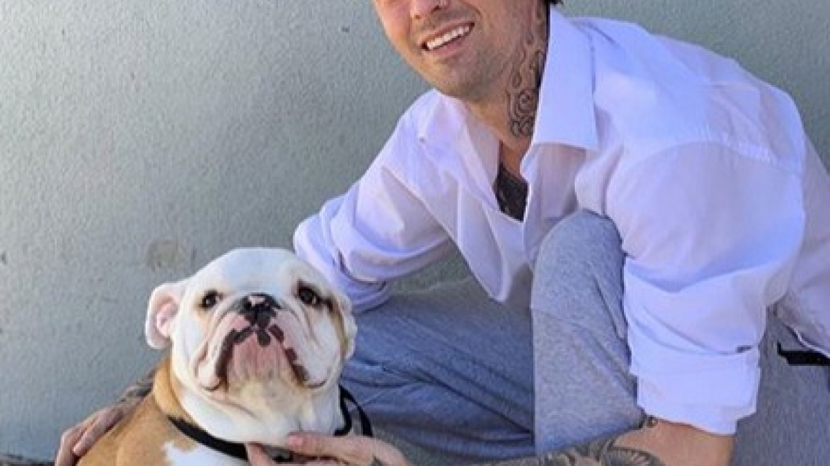 Illustration : "Le chanteur américain Aaron Carter crée la polémique en voulant vendre 3000€ un Bouledogue Anglais tout juste adopté ! "