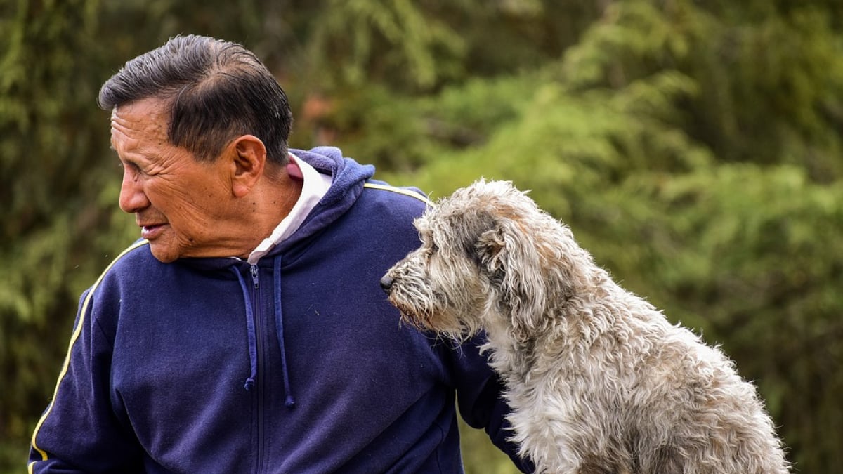 Illustration : "La science le confirme, la ressemblance entre les chiens et leur maître est un fait avéré !"