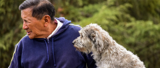 Illustration : "La science le confirme, la ressemblance entre les chiens et leur maître est un fait avéré !"