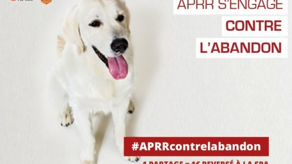 Illustration : "L’APRR soutient la SPA avec sa campagne contre l’abandon d’animaux"