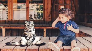 Illustration : "Non il n'existe aucun lien entre le fait d’avoir un chat et une quelconque maladie mentale, selon cette étude"