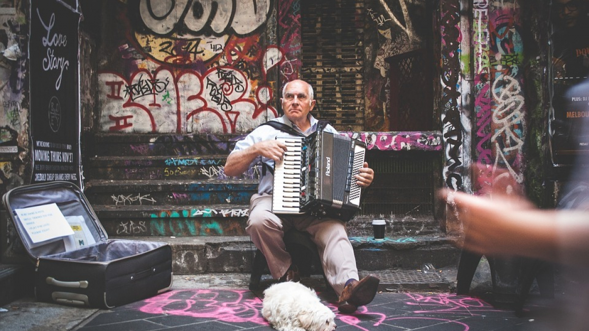 Illustration : "Les chiens savent apprécier la musique et ses genres selon cette étude ! "