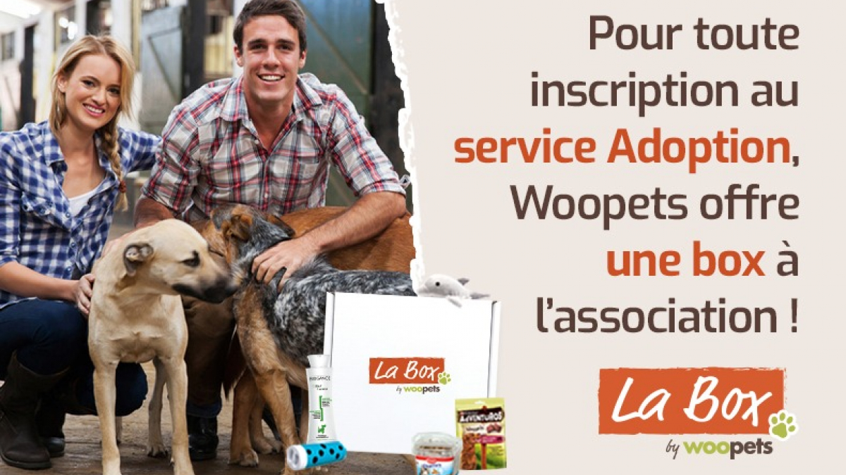 Illustration : "Des box surprises offertes aux associations inscrivant leurs animaux à adopter chez Woopets"