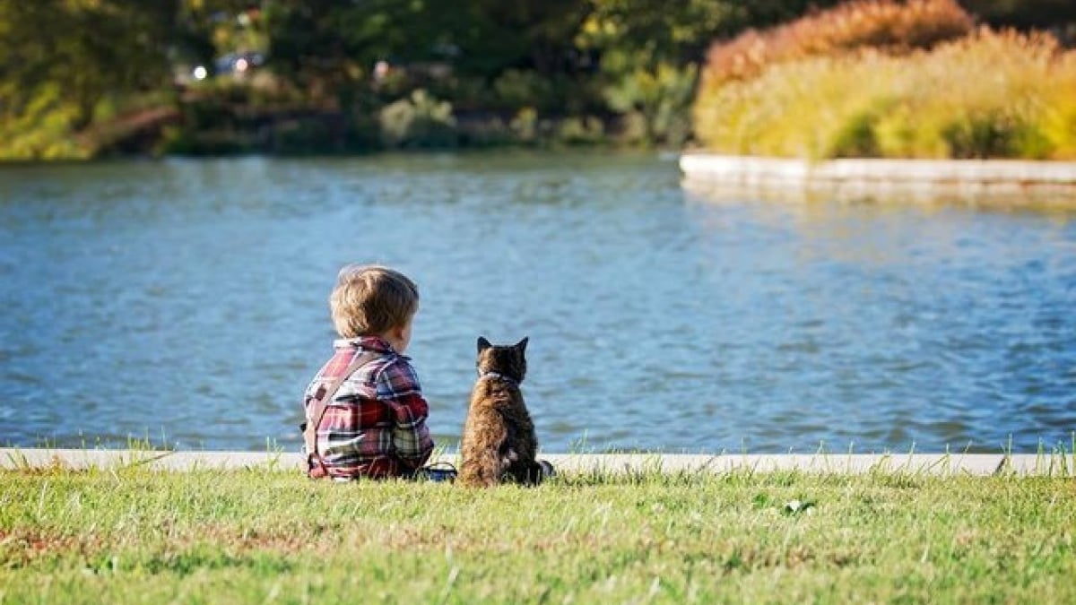 Illustration : "12 photos d'enfants qui n'ont d'yeux que pour leur chat et le montrent ! "