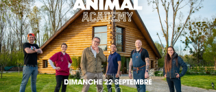 Illustration : "Bientôt le premier épisode d’Animal Academy, émission consacrée aux animaux de compagnie ingérables"