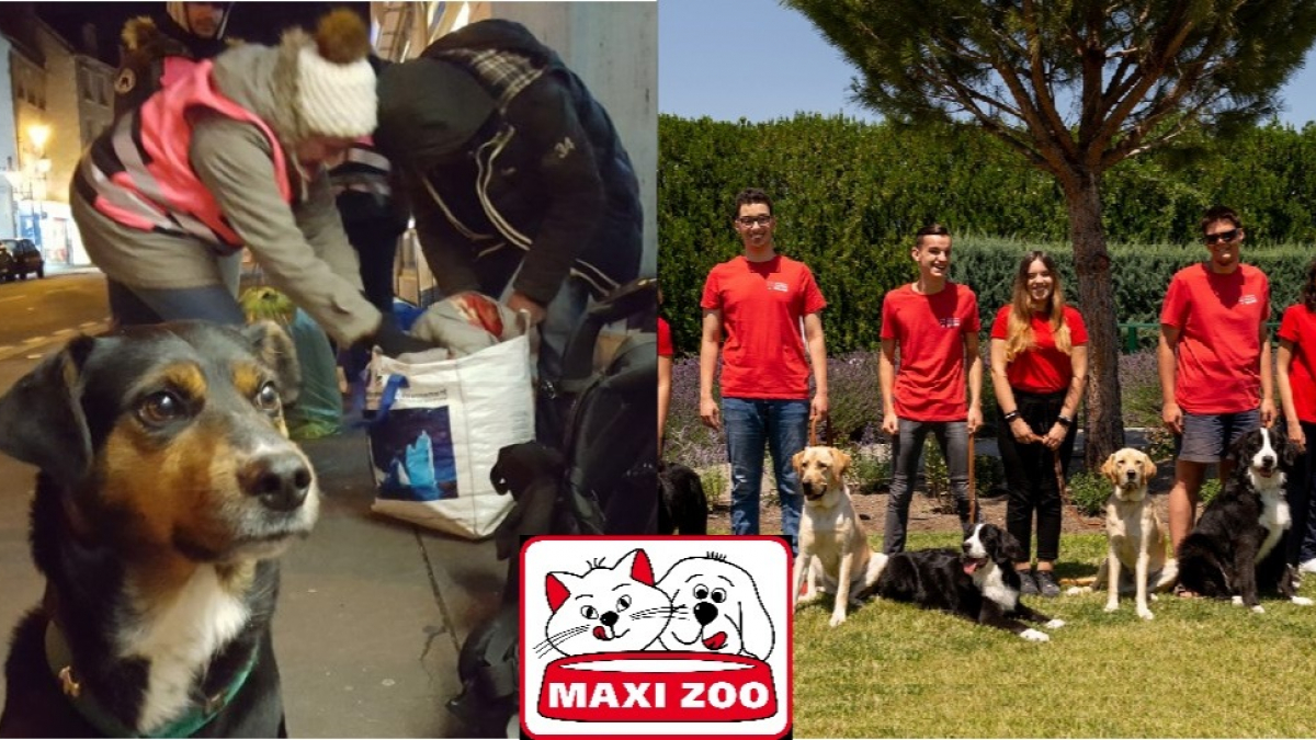 Illustration : "Maxi Zoo lance 2 campagnes solidaires en faveur des animaux et leurs propriétaires"