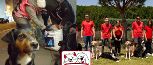 Illustration : "Maxi Zoo lance 2 campagnes solidaires en faveur des animaux et leurs propriétaires"