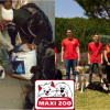 Illustration : Maxi Zoo lance 2 campagnes solidaires en faveur des animaux et leurs propriétaires