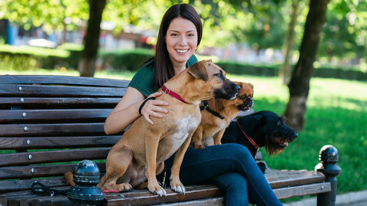 Illustration : "Qu'est-ce qu'un pet-sitter et comment le devenir ?"