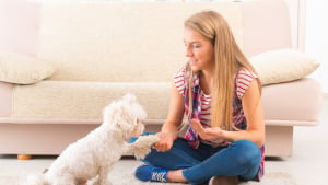 Illustration : Quels sont les tarifs d'un pet-sitter ?