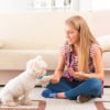 Illustration : Quels sont les tarifs d'un pet-sitter ?