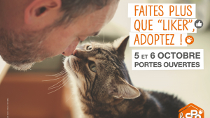 Illustration : Portes ouvertes de la SPA les 5 et 6 octobre : faites plus que liker, adoptez !