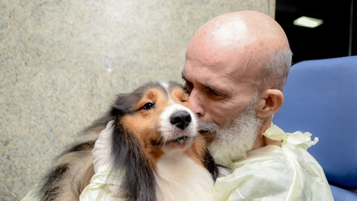 Illustration : "Alors qu'il était gravement malade, la visite de son chien a tout changé ! "