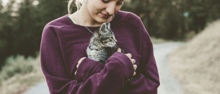 Illustration : "Faire garder son chat"