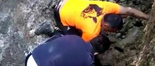 Illustration : "Un chien sauvé, 30 heures après s’être retrouvé coincé dans une canalisation à l'aide d'une tractopelle ! "