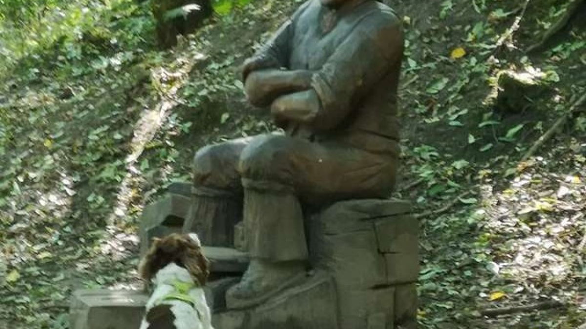 Illustration : "La vidéo de ce chien perplexe face à une statue refusant de lui lancer le bâton est un pur moment de bonheur"