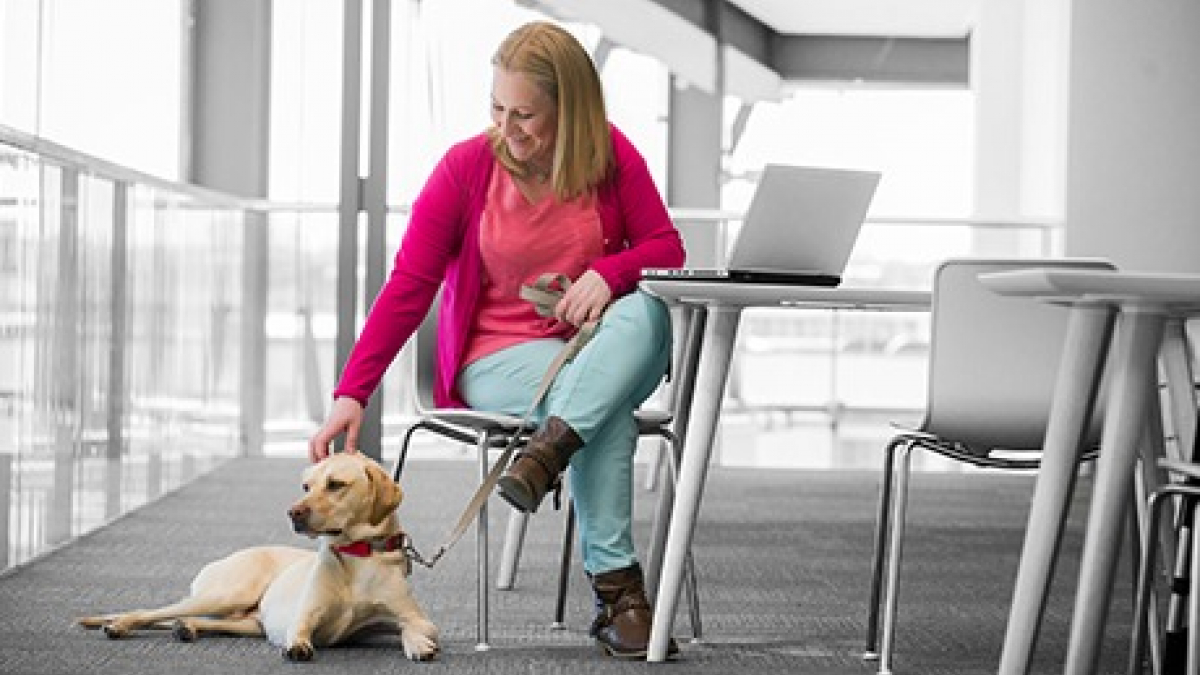 Illustration : "Et si vous emmeniez votre chien ou chat au travail grâce à l'alliance Pets at Work de Purina ?"