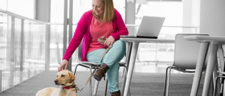 Illustration : "Et si vous emmeniez votre chien ou chat au travail grâce à l'alliance Pets at Work de Purina ?"
