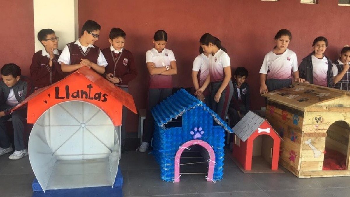 Illustration : "Au Mexique, ces écoliers fabriquent des niches pour les chiens errants à partir de matériaux de récupération"