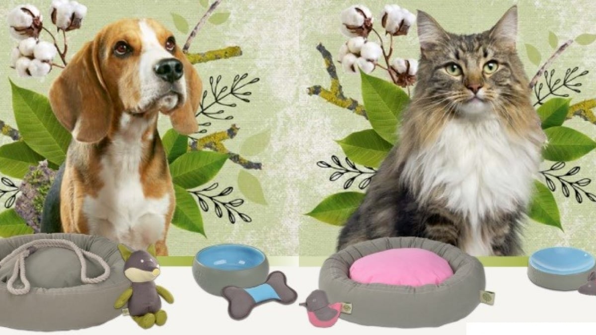 Illustration : "Naturally Good : des accessoires pour chiens et chats éco-responsables"