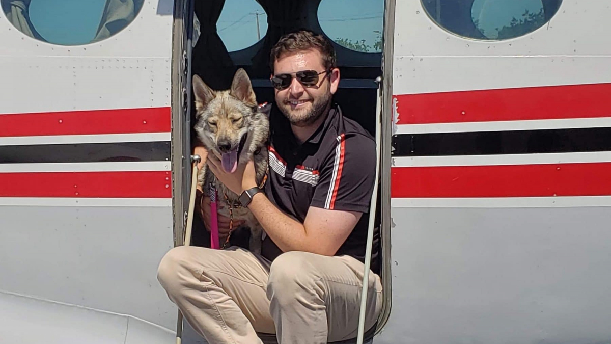 Illustration : "Tous les weekends, ce pilote transporte les chiens des refuges pour les sauver de l’euthanasie"