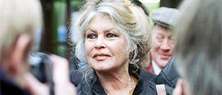 Illustration : "Brigitte Bardot publie une lettre où elle dénonce le trafic de viande de chien en Polynésie"