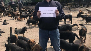 Illustration : Plus d’un millier de chiens errants sauvés en 10 ans grâce à Sasha